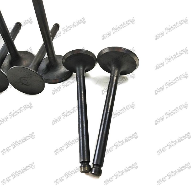 Integral Structure Valve T3000 Diesel Engine Part Original Stock with Online Support After