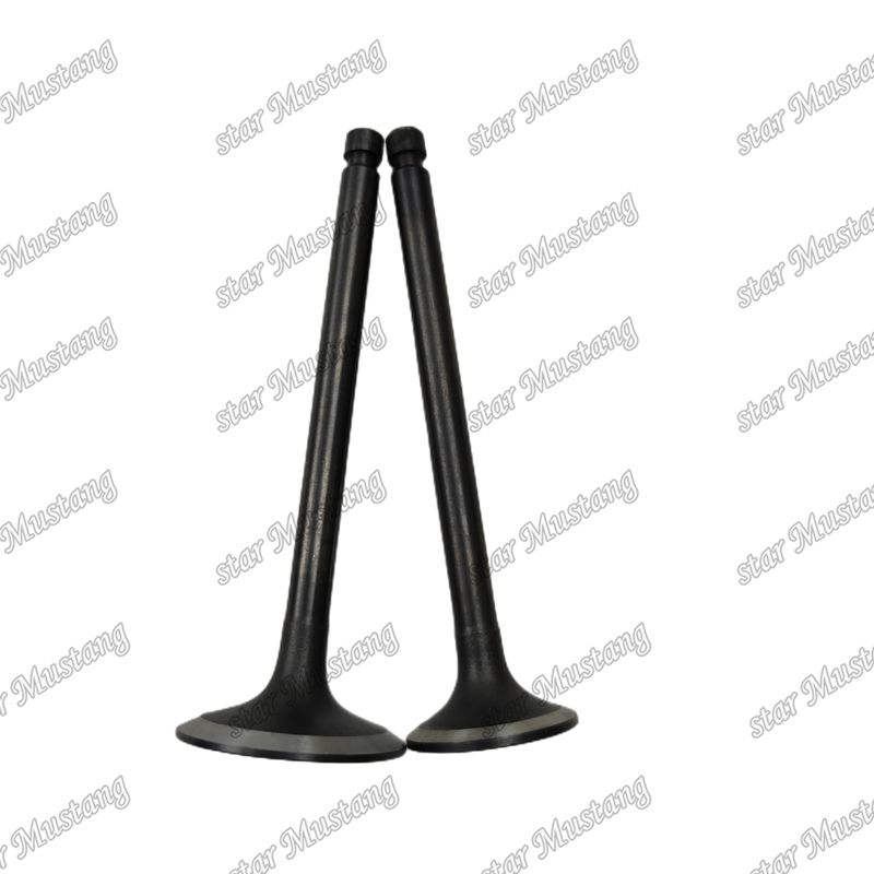 Integral Structure Valve 4DQ5 32C04-00100 32C04-01100 Diesel Engine Part Original Stock with Online Support After