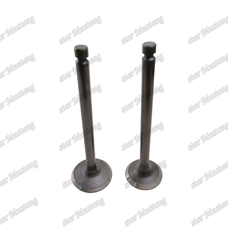 Integral Structure Valve 6D24 ME051063 ME051064 Diesel Engine Part Original Stock with Online Support After