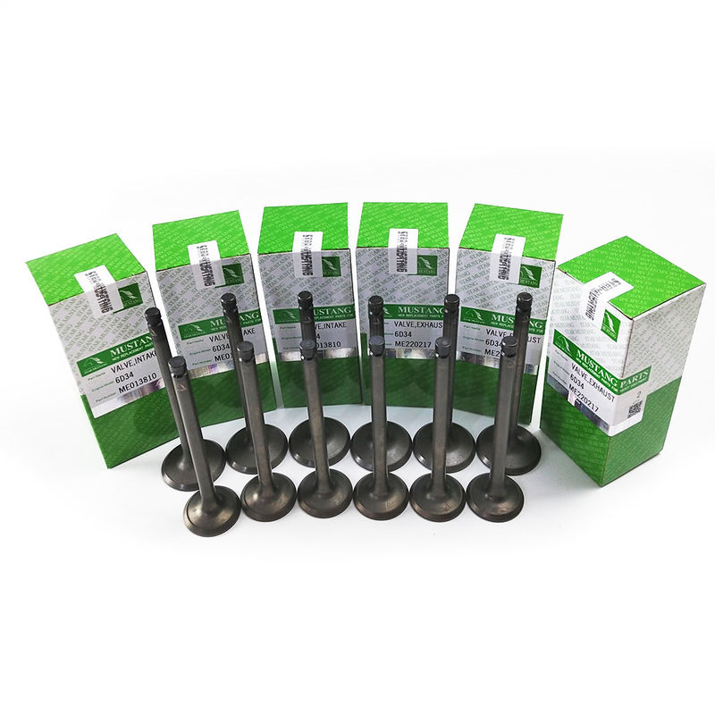Integral Structure Valve 6D34 ME013810 ME220217 Diesel Engine Part Original Stock With Online Support After