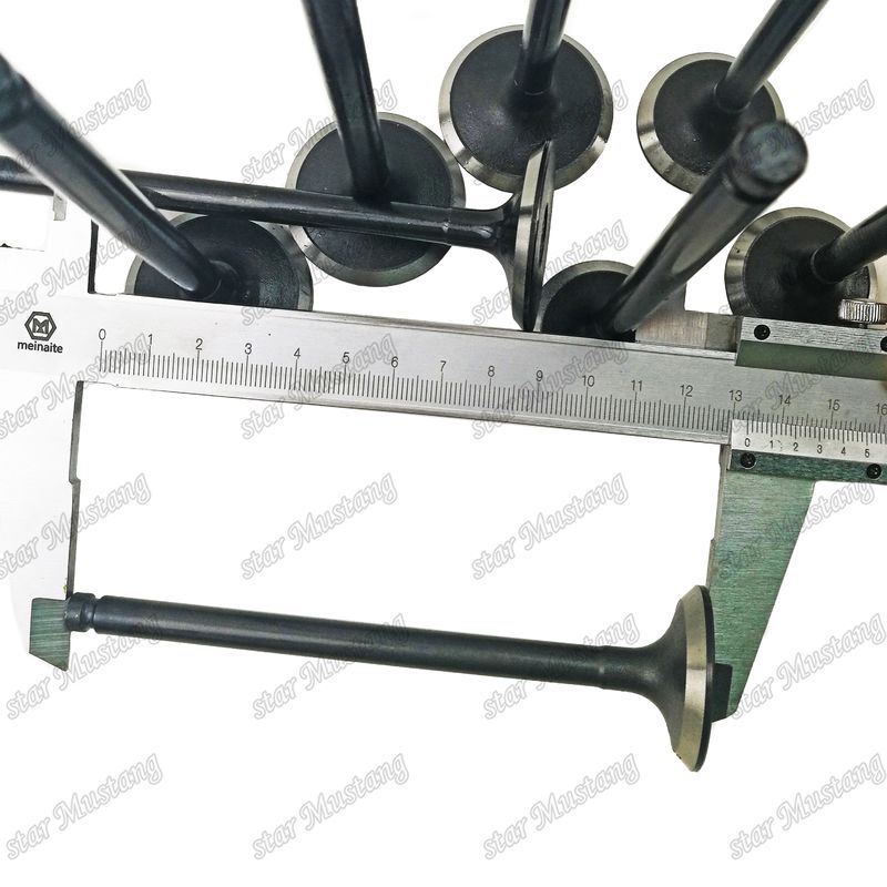 D4BB Diesel Engine Part Integral Structure Valve Original Stock with Online Support After