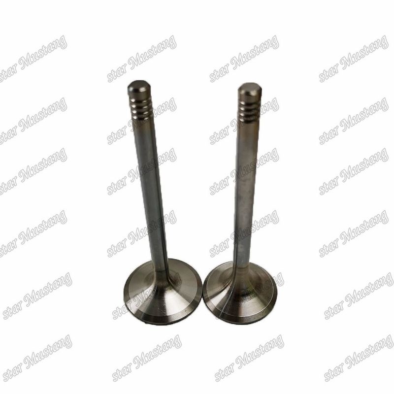 Original Stock Integral Structure Valve D924 9279578 9279579 Diesel Engine Part with Online Support