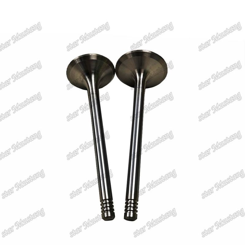 Original Stock Integral Structure Valve D924 9279578 9279579 Diesel Engine Part with Online Support
