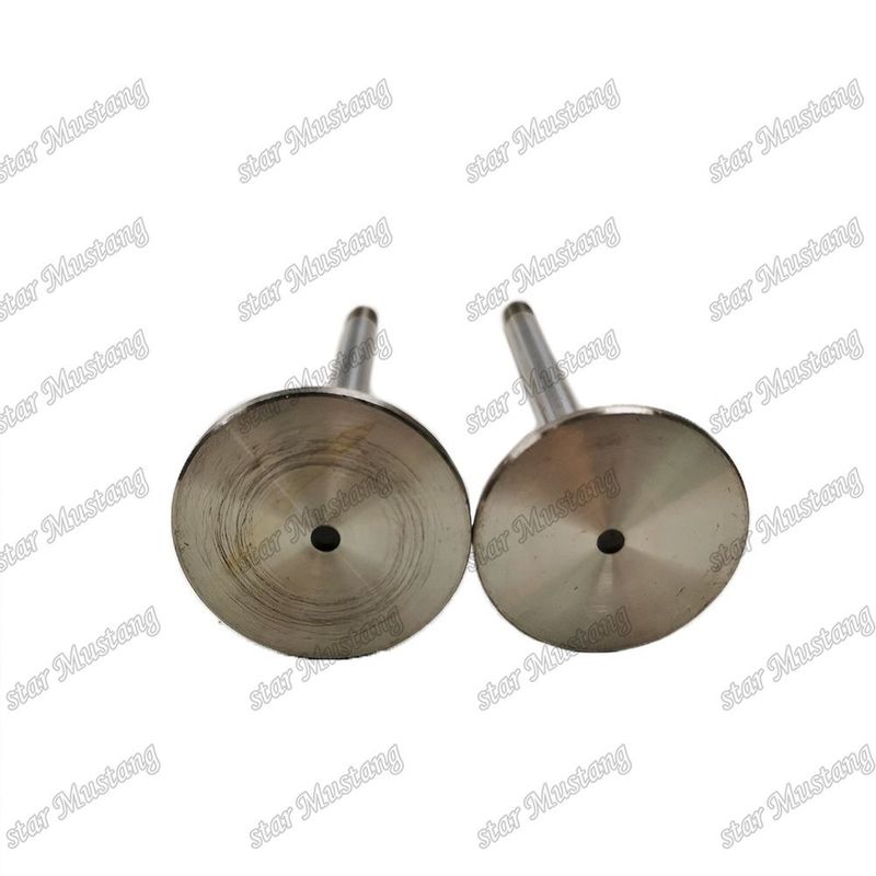 Original Stock Integral Structure Valve D924 9279578 9279579 Diesel Engine Part with Online Support
