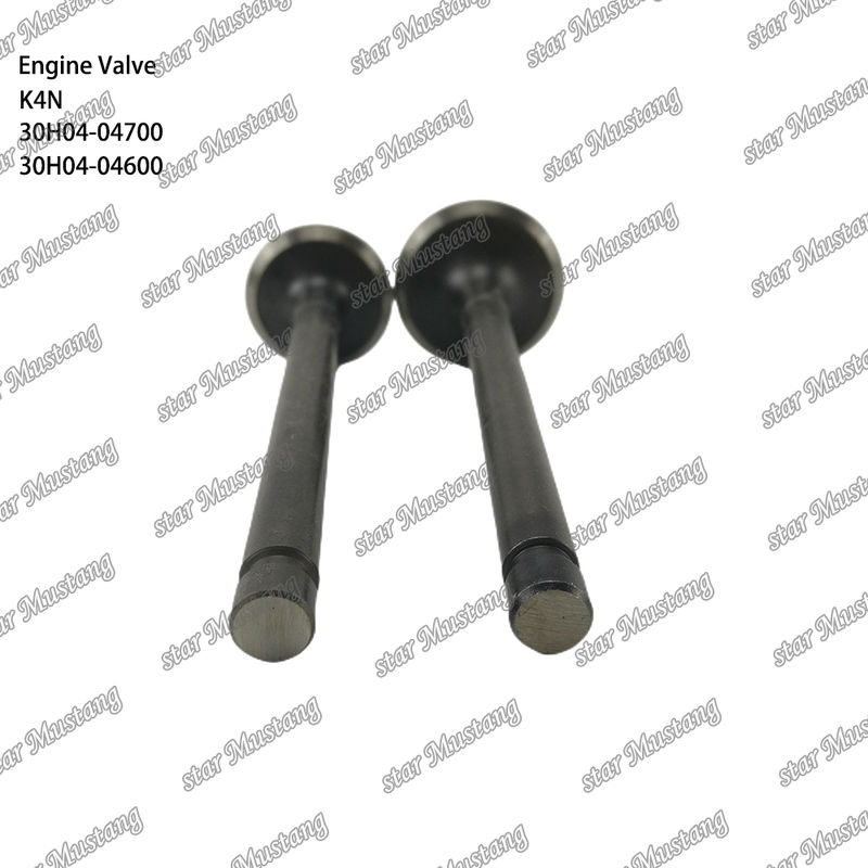 K4N 30H04-04700 30H04-04600 Diesel Engine Part Original Stock with Online Support After