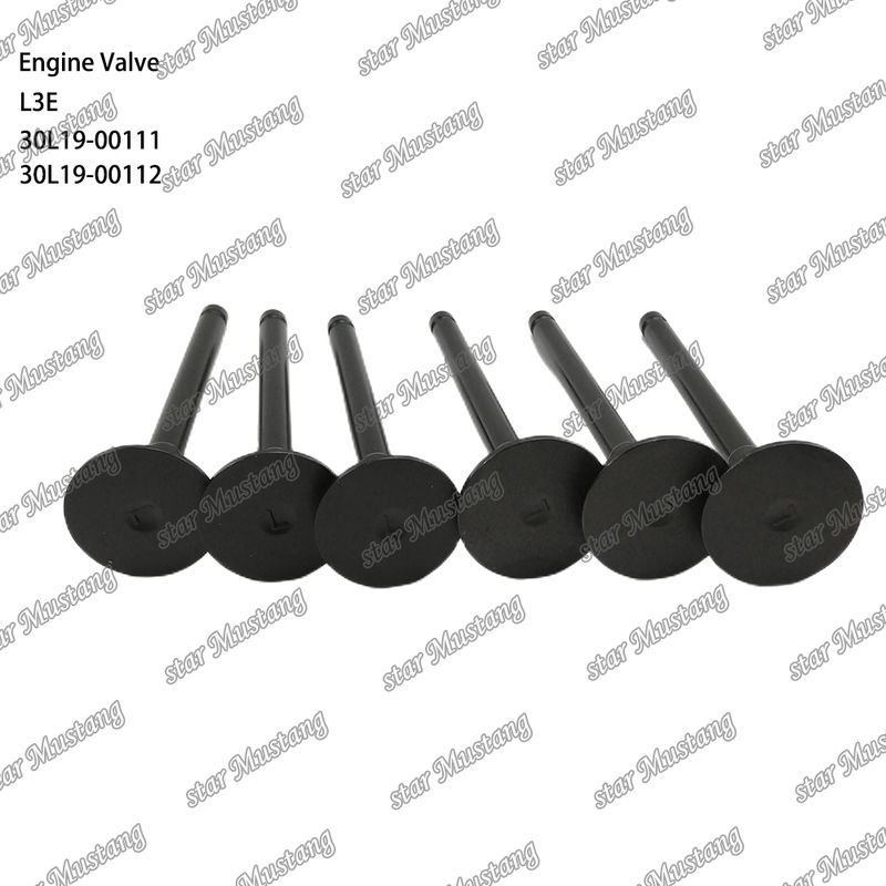 L3E 30L19-00111 30L19-00112 Diesel Engine Part Original Stock with Online Support After