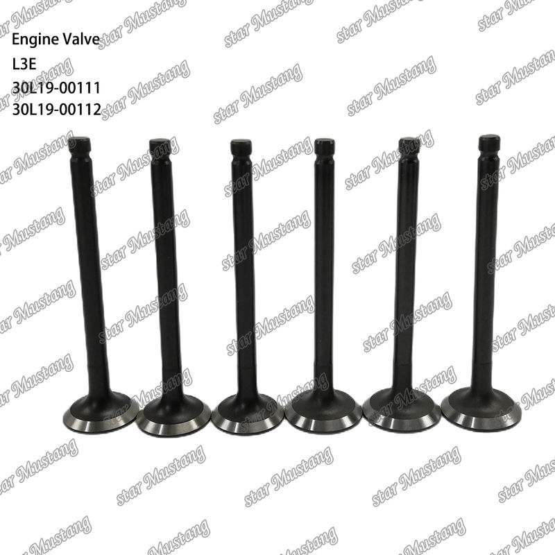 L3E 30L19-00111 30L19-00112 Diesel Engine Part Original Stock with Online Support After