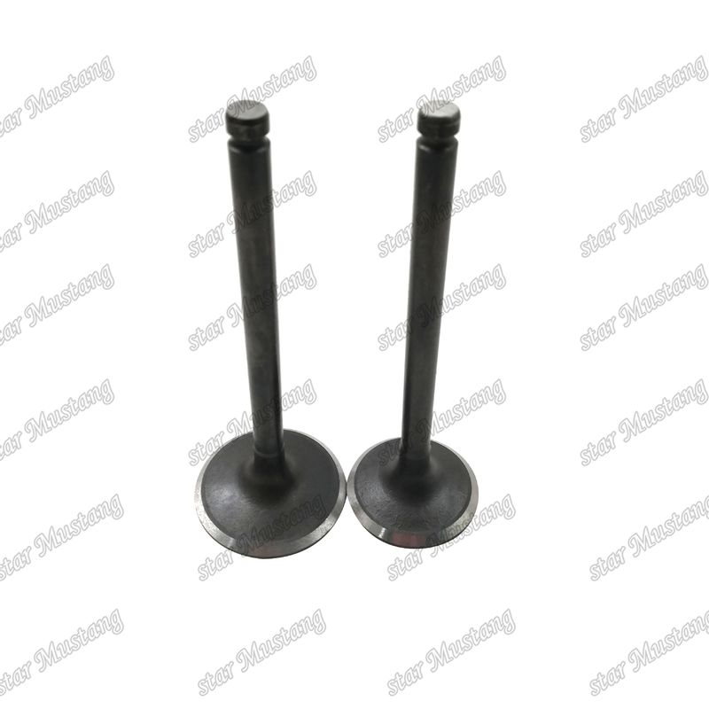 Integral Structure Valve TD42 Diesel Engine Part Original Stock with Online Support After