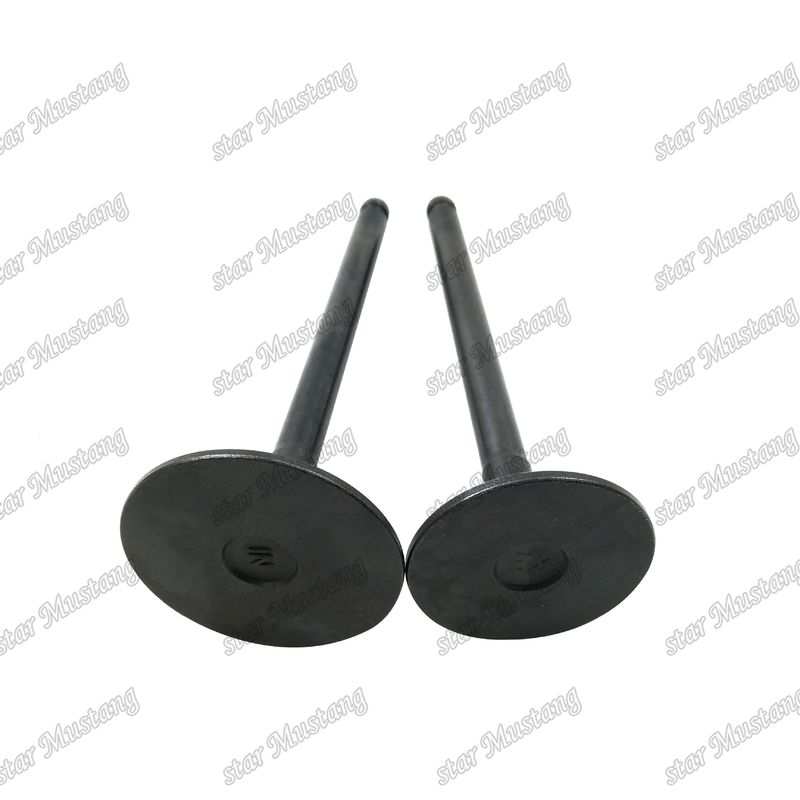 Integral Structure Valve TD42 Diesel Engine Part Original Stock with Online Support After