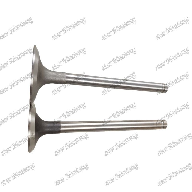Integral Structure Valve 3142L072 3142A151Diesel Engine Part Original Stock with Online Support After