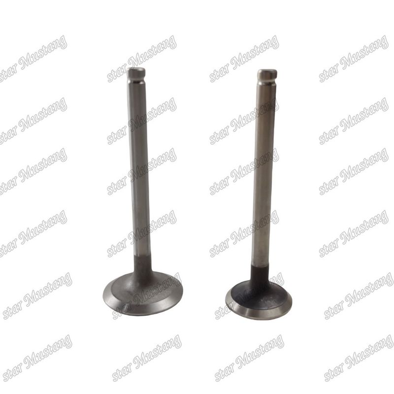 Integral Structure Valve 3142L072 3142A151Diesel Engine Part Original Stock with Online Support After
