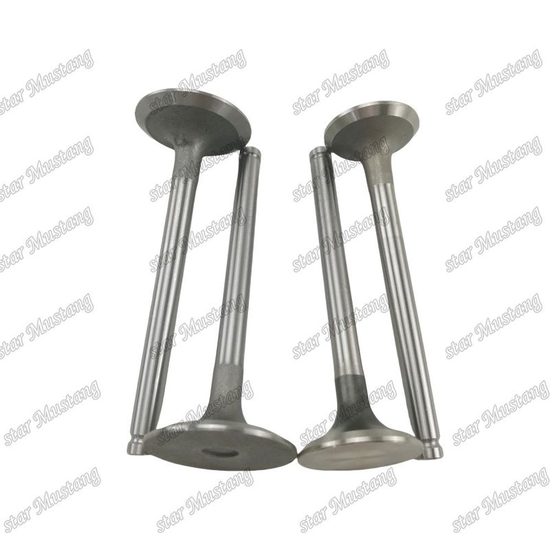 Integral Structure Valve 1004 3142L072 3142A051 Diesel Engine Part Original Stock with Online Support After