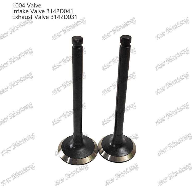 Integral Structure Valve 1004 3142D041 3142D031 Diesel Engine Part Original Stock with Online Support After