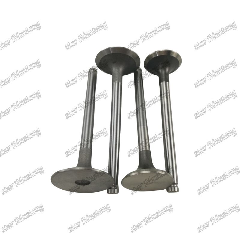 Integral Structure Valve 1004T 3142H002 3142A051 Diesel Engine Part Original Stock with Online Support After