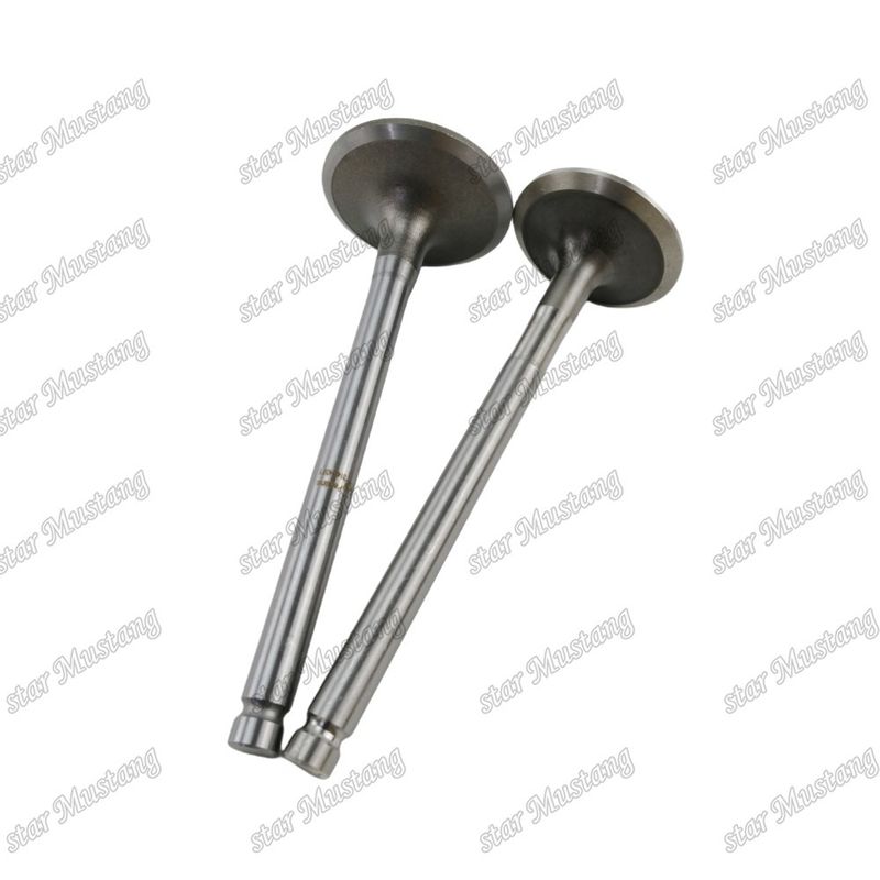 Integral Structure Valve 1104C-44T 3142H071 3142A151 Diesel Engine Part Original Stock with Online Support After